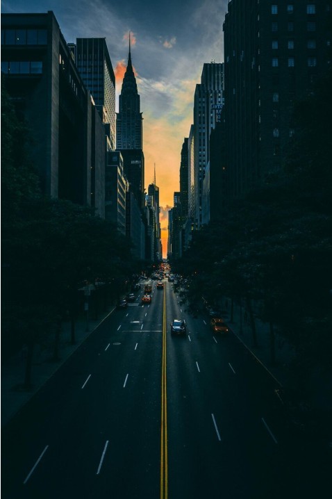 Velocidad y rendimiento